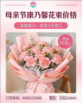 铁岭调兵山市花店母亲节康乃馨花束