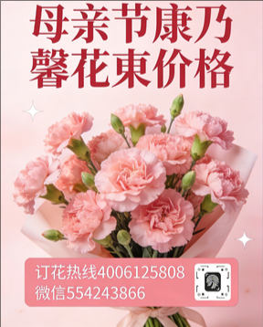 铁岭调兵山市花店母亲节康乃馨花束